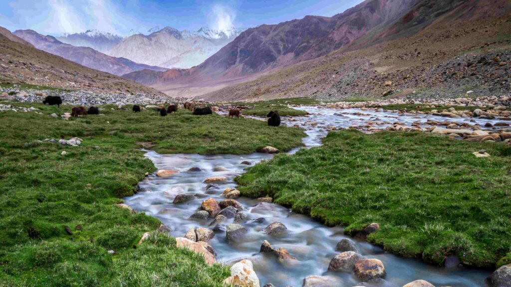 landscape-sandstone-mountains-with-river-green-valley-himalayas-nubra-valley-jammu-kashmir-india-2